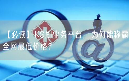 【必读】KS刷业务平台，为何能称霸全网最低价格？
