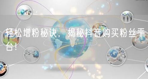轻松增粉秘诀，揭秘抖音购买粉丝平台！