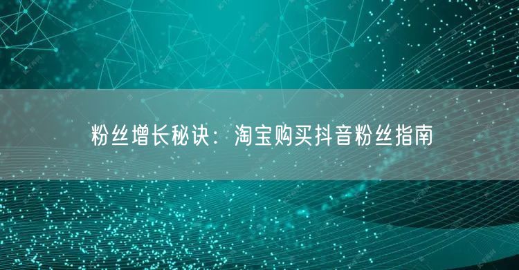 粉丝增长秘诀：淘宝购买抖音粉丝指南