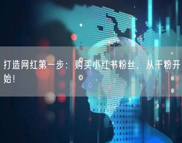 打造网红第一步：购买小红书粉丝，从千粉开始！