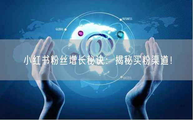 小红书粉丝增长秘诀：揭秘买粉渠道！