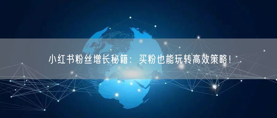 小红书粉丝增长秘籍：买粉也能玩转高效策略！