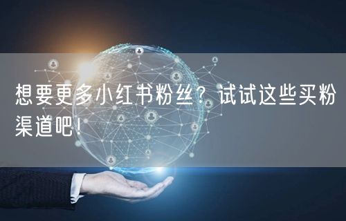 想要更多小红书粉丝？试试这些买粉渠道吧！