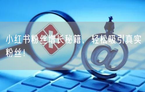 小红书粉丝增长秘籍，轻松吸引真实粉丝！