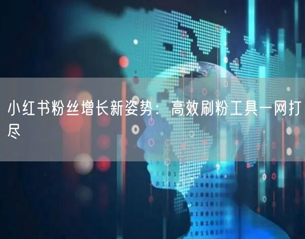 小红书粉丝增长新姿势：高效刷粉工具一网打尽