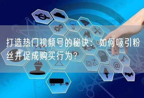 打造热门视频号的秘诀：如何吸引粉丝并促成购买行为？