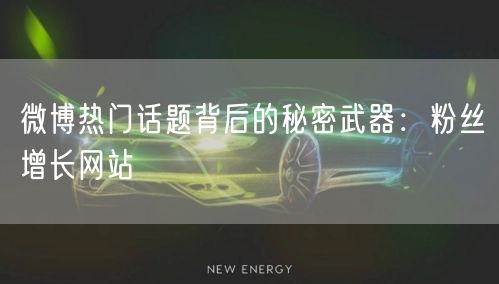 微博热门话题背后的秘密武器：粉丝增长网站