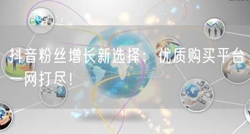 抖音粉丝增长新选择：优质购买平台一网打尽！