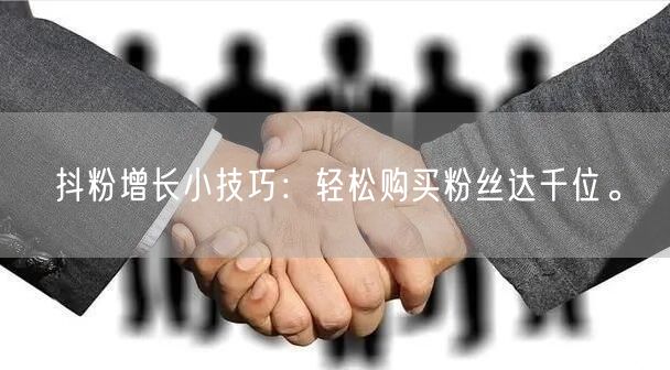 抖粉增长小技巧：轻松购买粉丝达千位。