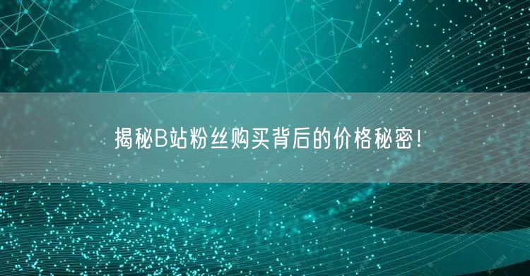 揭秘B站粉丝购买背后的价格秘密!