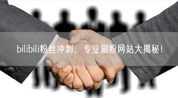 bilibili粉丝冲刺，专业刷粉网站大揭秘！