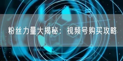 粉丝力量大揭秘：视频号购买攻略