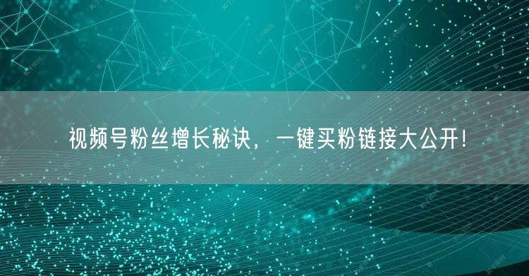 视频号粉丝增长秘诀，一键买粉链接大公开！
