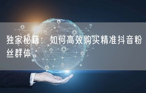 独家秘籍：如何高效购买精准抖音粉丝群体。