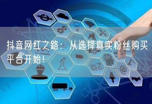 抖音网红之路：从选择真实粉丝购买平台开始！