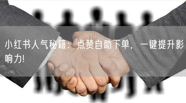 小红书人气秘籍：点赞自助下单，一键提升影响力!