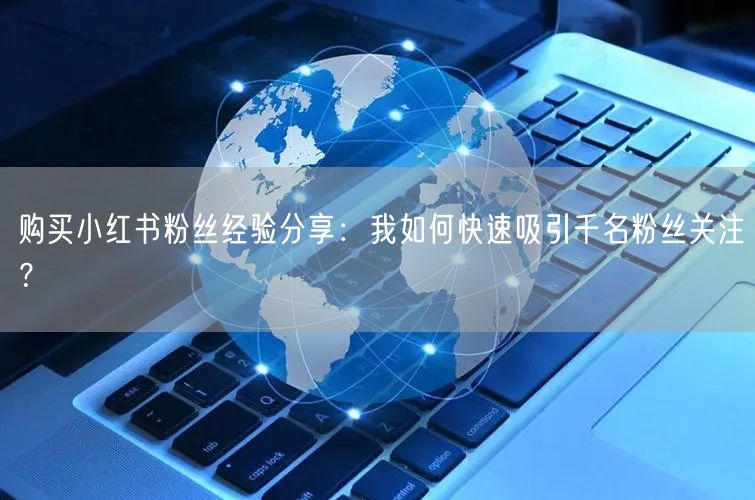 购买小红书粉丝经验分享：我如何快速吸引千名粉丝关注？