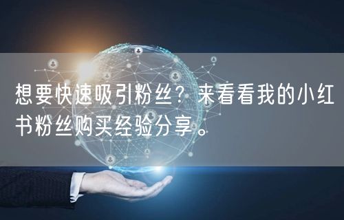 想要快速吸引粉丝？来看看我的小红书粉丝购买经验分享。