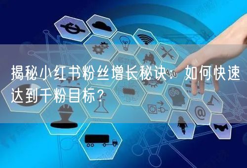 揭秘小红书粉丝增长秘诀：如何快速达到千粉目标？