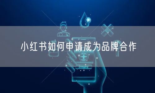 小红书如何申请成为品牌合作