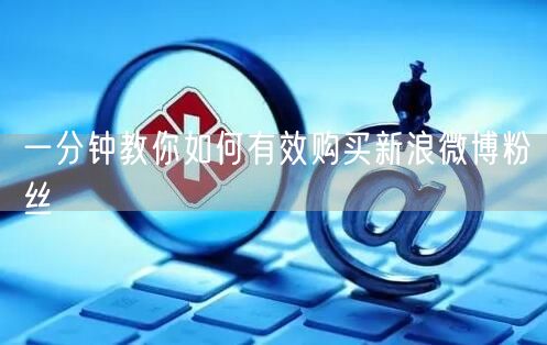 一分钟教你如何有效购买新浪微博粉丝