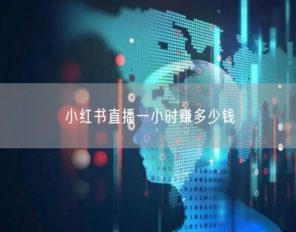 小红书直播一小时赚多少钱