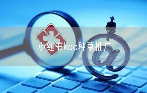 小红书koc种草推广