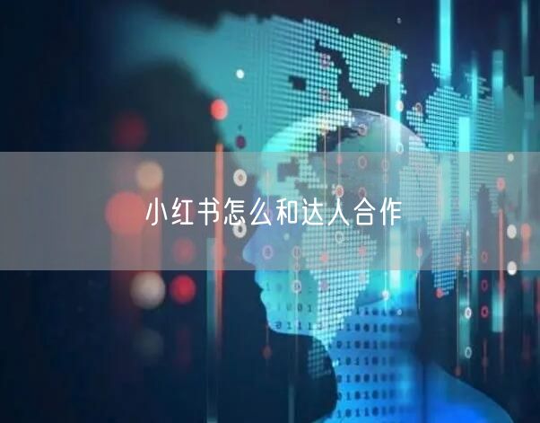 小红书怎么和达人合作