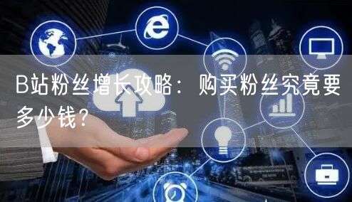 B站粉丝增长攻略：购买粉丝究竟要多少钱？
