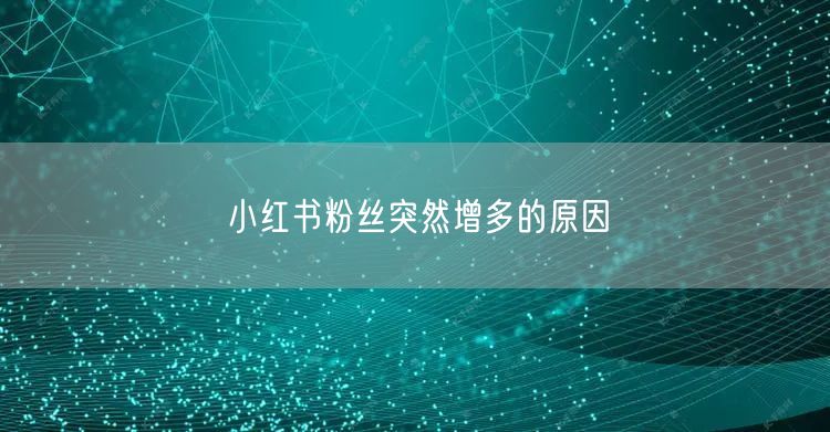 小红书粉丝突然增多的原因