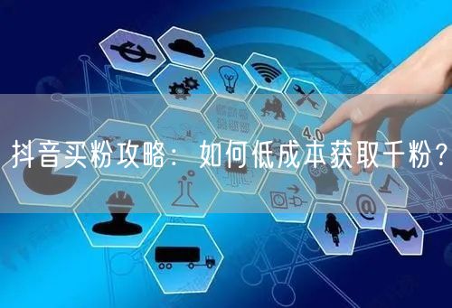 抖音买粉攻略：如何低成本获取千粉？