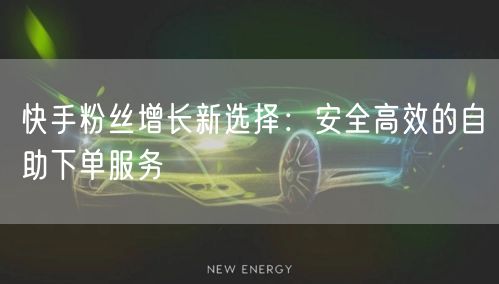 快手粉丝增长新选择：安全高效的自助下单服务