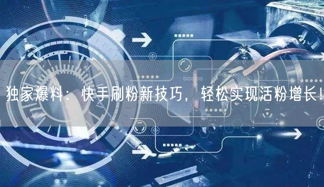 独家爆料：快手刷粉新技巧，轻松实现活粉增长！