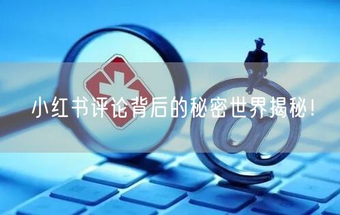 小红书评论背后的秘密世界揭秘！