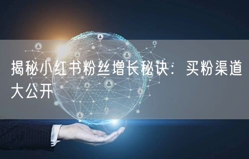 揭秘小红书粉丝增长秘诀：买粉渠道大公开