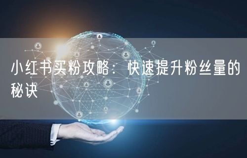小红书买粉攻略：快速提升粉丝量的秘诀