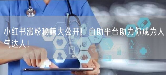 小红书涨粉秘籍大公开！自助平台助力你成为人气达人！