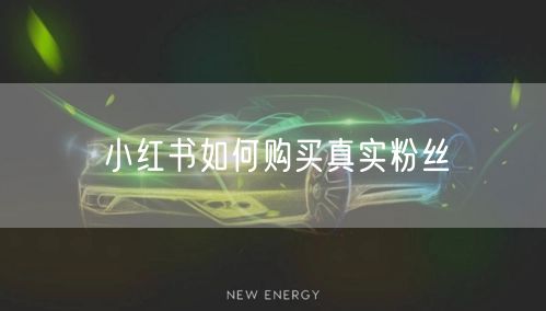小红书如何购买真实粉丝