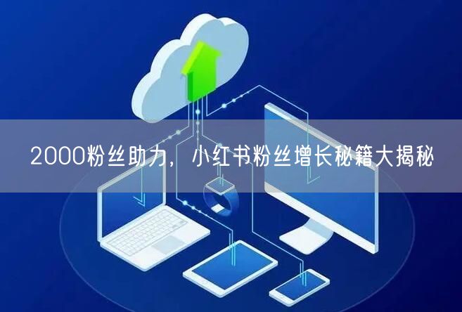 2000粉丝助力，小红书粉丝增长秘籍大揭秘