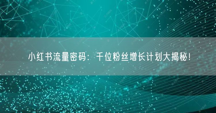 小红书流量密码：千位粉丝增长计划大揭秘！