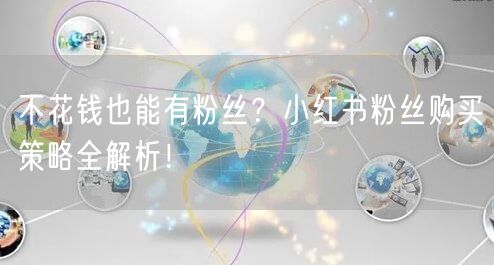 不花钱也能有粉丝？小红书粉丝购买策略全解析！