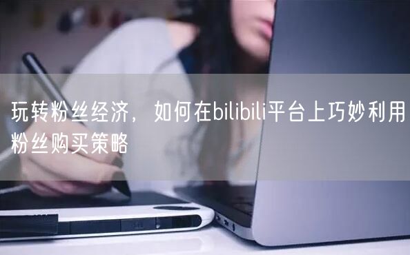玩转粉丝经济，如何在bilibili平台上巧妙利用粉丝购买策