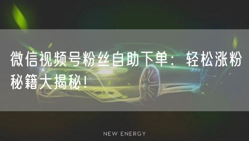 微信视频号粉丝自助下单：轻松涨粉秘籍大揭秘！