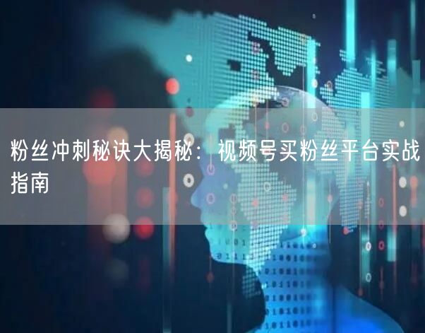 粉丝冲刺秘诀大揭秘：视频号买粉丝平台实战指南