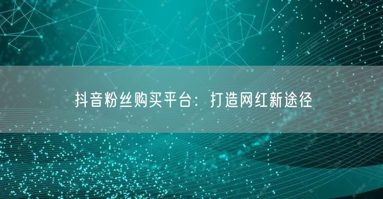 抖音粉丝购买平台：打造网红新途径