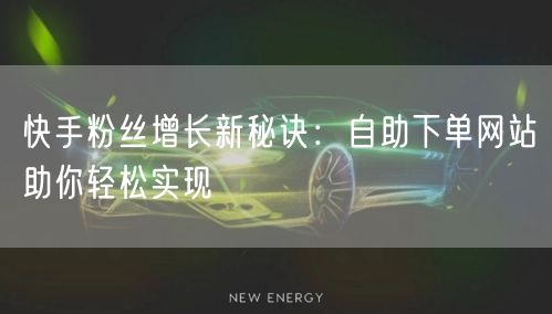 快手粉丝增长新秘诀：自助下单网站助你轻松实现