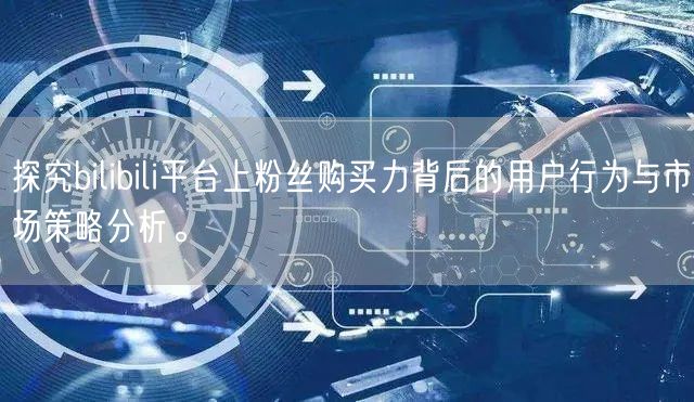 探究bilibili平台上粉丝购买力背后的用户行为与市场策略