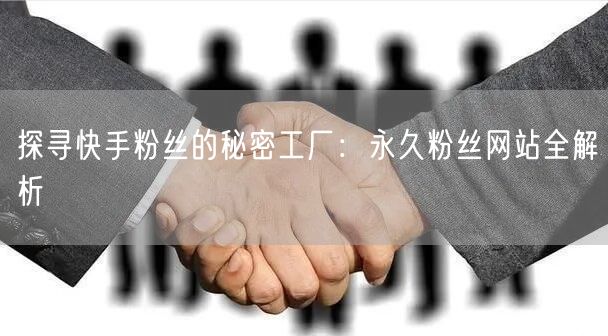 探寻快手粉丝的秘密工厂：永久粉丝网站全解析