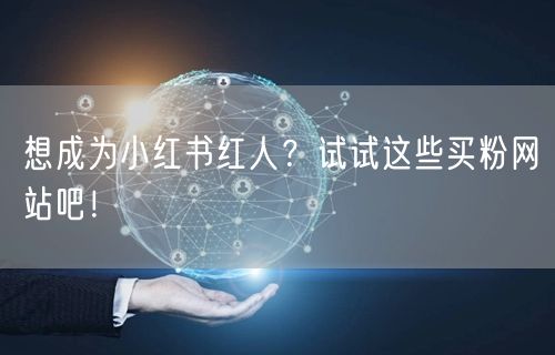 想成为小红书红人？试试这些买粉网站吧！