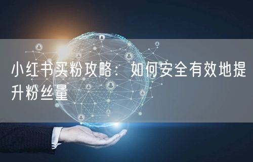 小红书买粉攻略：如何安全有效地提升粉丝量